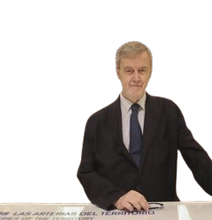 Manuel Ravina Martín